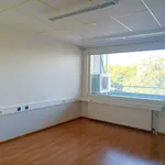 Vuokraa 6 makuuhuoneen asunto, 200 m² paikassa Kotka