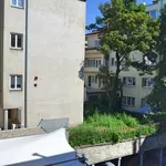 Rent 1 bedroom apartment of 23 m² in Brno