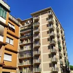 Rent 1 bedroom apartment of 14 m² in Latina