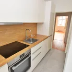 Rent 3 bedroom apartment of 65 m² in Chemnitz