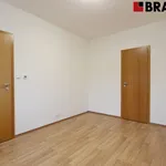 Rent 2 bedroom apartment of 39 m² in Brno