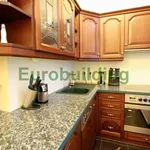 Rent 3 bedroom apartment of 137 m² in Prague