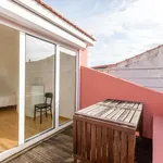 Rent 1 bedroom apartment in lisbon