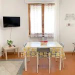 Rent 2 bedroom apartment of 45 m² in Pisa