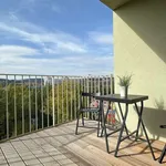 Rent 4 bedroom apartment of 118 m² in Brno