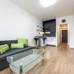 Rent 1 bedroom apartment of 25 m² in Capital City of Prague