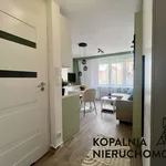 Rent 1 bedroom apartment of 20 m² in Zabrze