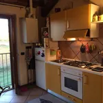 Rent 1 bedroom apartment of 50 m² in Pavia