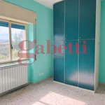 Rent 2 bedroom apartment of 60 m² in Pozzilli