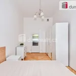 Rent 1 bedroom apartment in Prague