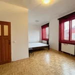 Rent 1 bedroom apartment of 57 m² in Poděbrady