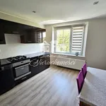 Rent 1 bedroom apartment of 44 m² in Mysłowice