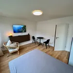 Miete 1 Schlafzimmer wohnung von 28 m² in Cologne