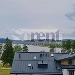 Rent 2 bedroom apartment of 75 m² in Lipno nad Vltavou