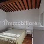 Rent 2 bedroom apartment of 55 m² in Collesalvetti