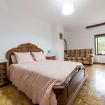 Habitación de 140 m² en valencia