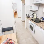 Rent 1 bedroom apartment in Vienna