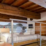 Rent 2 bedroom apartment of 40 m² in Firenze