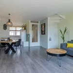 Rent 5 bedroom house of 128 m² in Haarlem