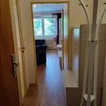 Rent 1 bedroom apartment in Železná Ruda