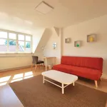 Rent 2 bedroom apartment of 61 m² in Leipzig