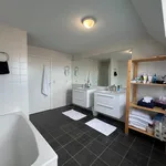 Rent 1 bedroom apartment in Leuven