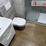 Rent 1 bedroom house in Zlín