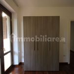 Affitto 3 camera appartamento di 100 m² in Viterbo