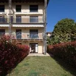 Rent 1 bedroom apartment of 40 m² in Luino