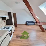 Rent 2 bedroom apartment of 42 m² in Bechyně