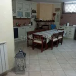 Rent 1 bedroom apartment of 45 m² in Nettuno