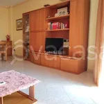 Rent 3 bedroom apartment of 110 m² in Cinisello Balsamo