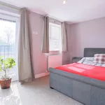 Rent 3 bedroom house in York