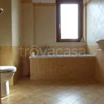 Rent 1 bedroom apartment of 50 m² in Frosinone