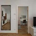 Rent 3 bedroom apartment of 45 m² in Wien