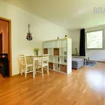 Rent 3 bedroom apartment of 72 m² in Capital City of Prague