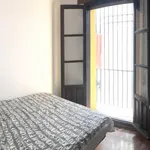 Alquilar 5 dormitorio apartamento en Cordoba