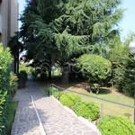 Rent 1 bedroom apartment of 40 m² in Monza