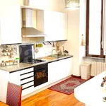 Rent 3 bedroom apartment of 100 m² in Monza