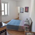 Rent 1 bedroom apartment of 50 m² in Trieste