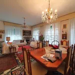 Rent 1 bedroom apartment in vicenza