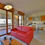 Rent 2 bedroom apartment of 45 m² in Bologna