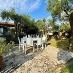 Rent 3 bedroom apartment of 100 m² in Seravezza