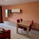 Rent 2 bedroom apartment of 60 m² in Desenzano del Garda