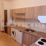 Rent 3 bedroom apartment of 73 m² in Prague