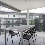 Petergasse, Zurich - Amsterdam Apartments for Rent