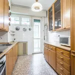 Rent 3 bedroom apartment of 83 m² in Milano