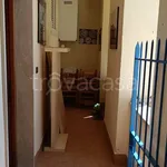 Rent 3 bedroom apartment of 80 m² in Nettuno