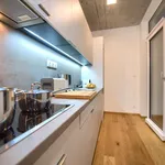 Rent 1 bedroom apartment of 50 m² in Prague