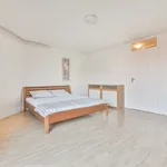 Huur 3 slaapkamer appartement van 100 m² in Amsterdam